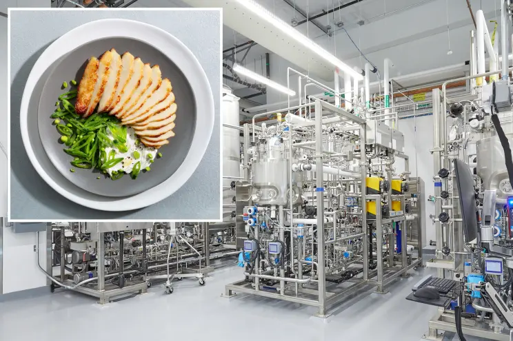 Tecnología para hacer pollo de células cultivadas 