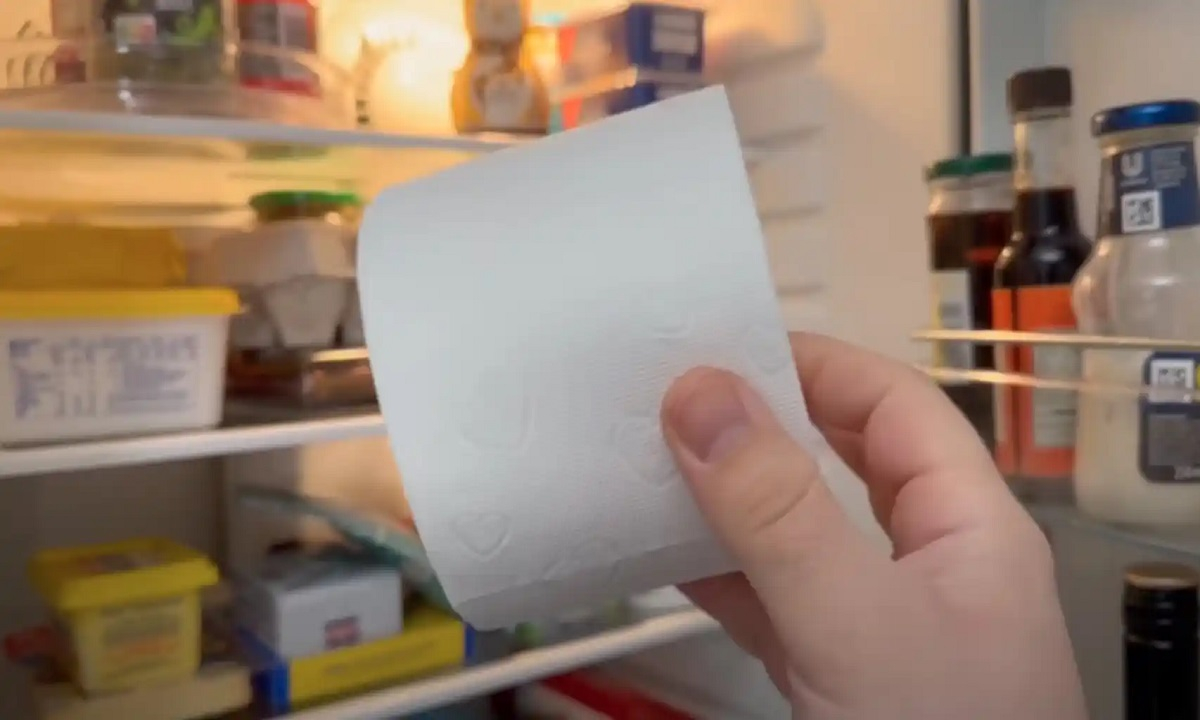Poniendo papel higiénico en el refrigerador 