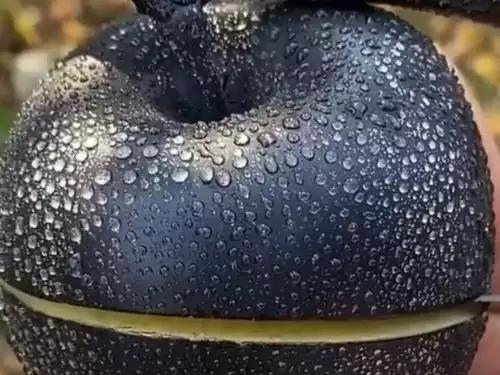 Manzana negra