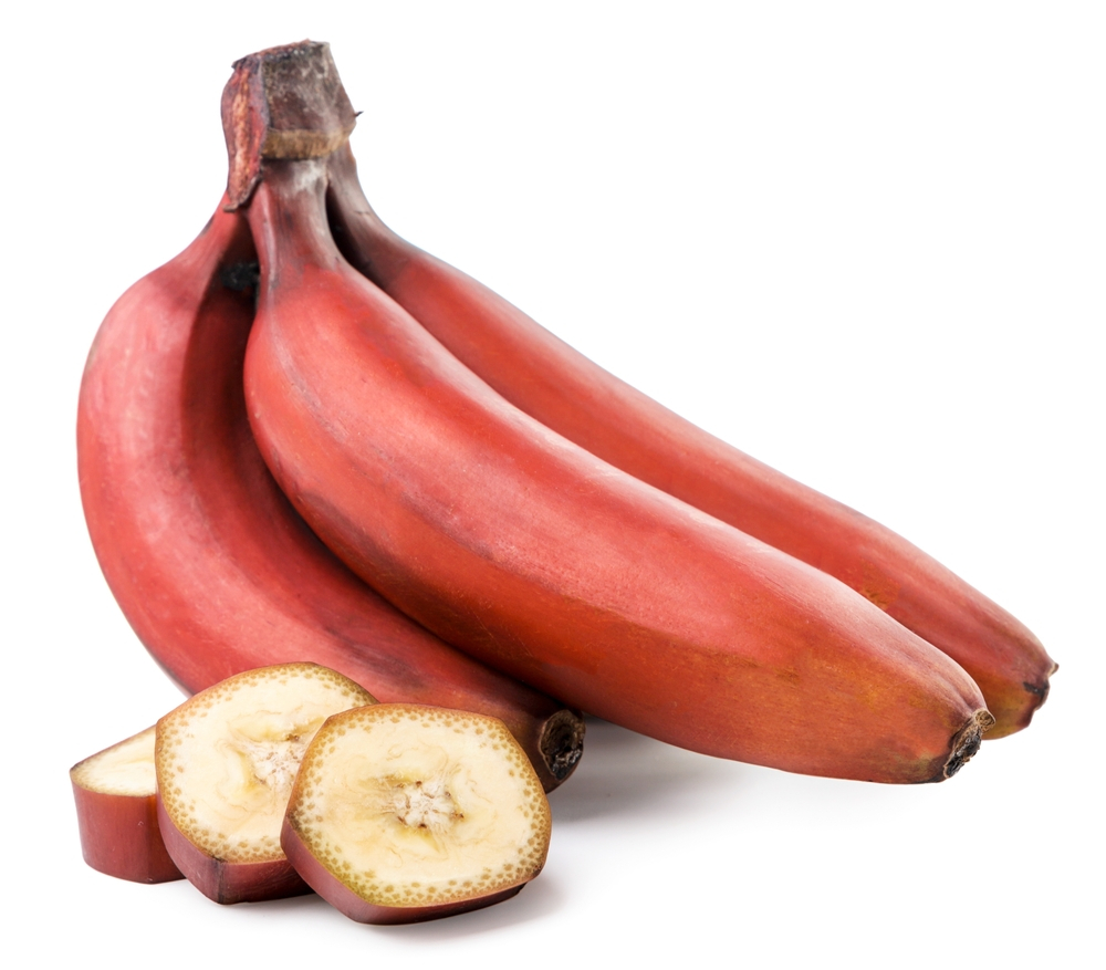 Almacena el plátano rojo a temperatura ambiente y si no quieres que madure muy rápido evita guardarlo al lado de otras frutas como manzana, papaya, mango, pera y palta.